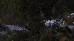 Мыслить как преступник 1 сезон 13 серия